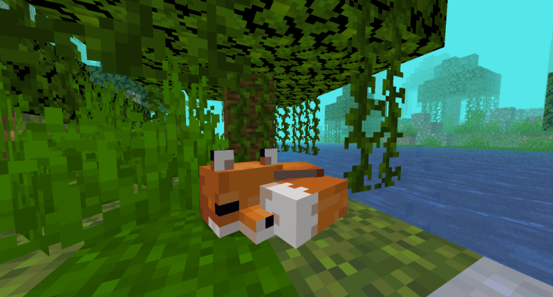 rainforest dimension fox