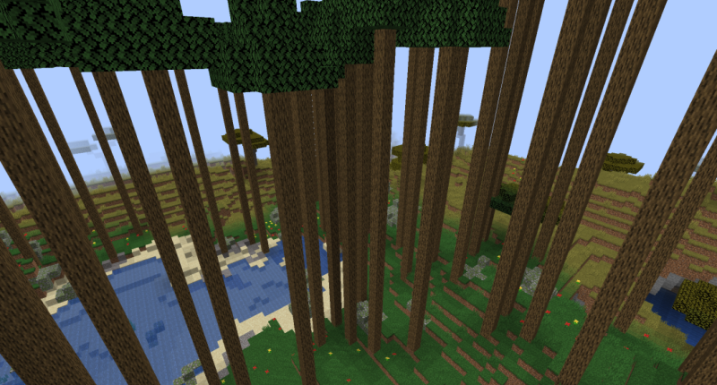 forest of large long trees