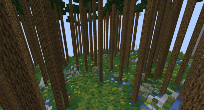 blooming forest of large long trees