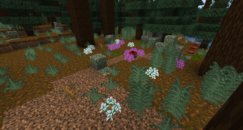 Some Flowers and Other Plants in the Old Growth Taiga