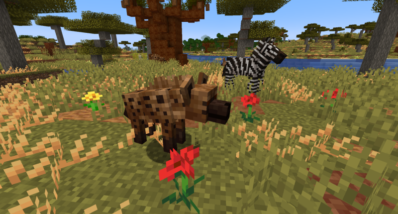 A Spotted Hyena and a Plains Zebra