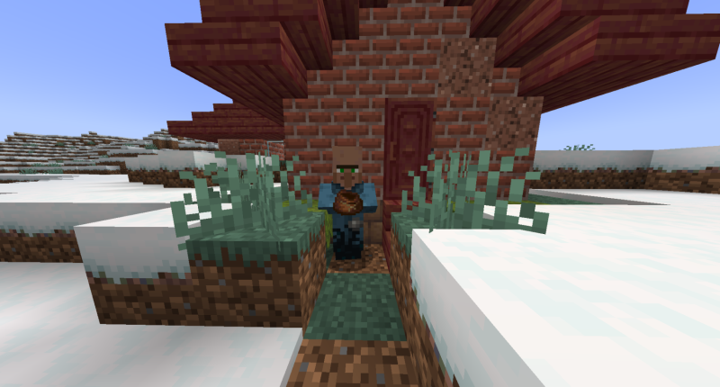 the new villager type in the mod