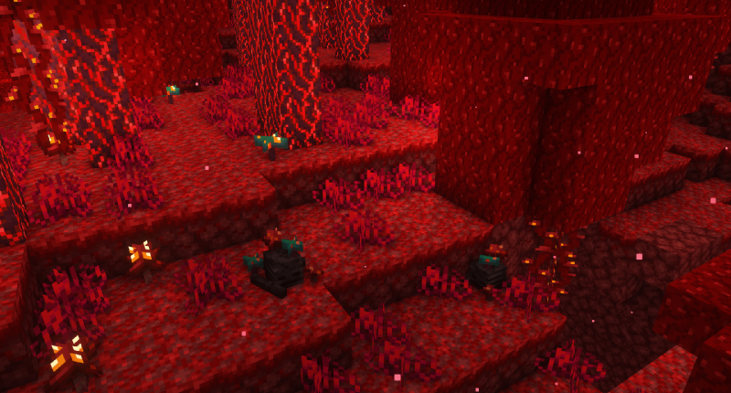 Skeleton generated in the Nether
