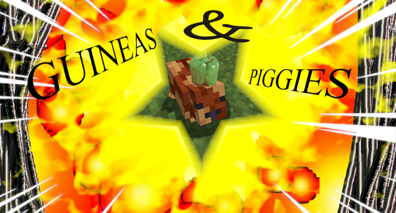 Guineas and Piggies
