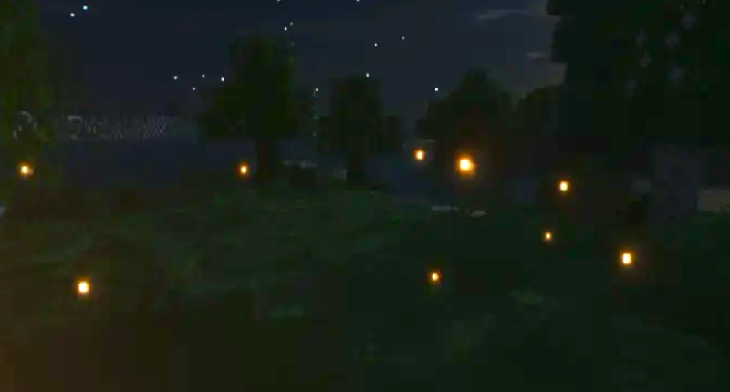 The picture of an in-game night forest with fireflies.