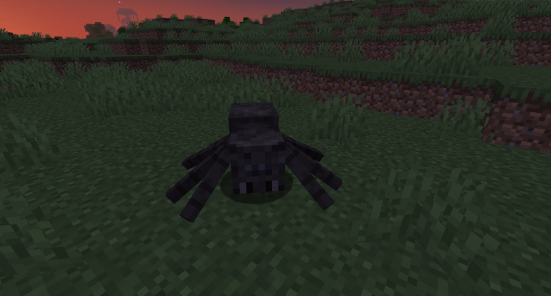 Coal Spider