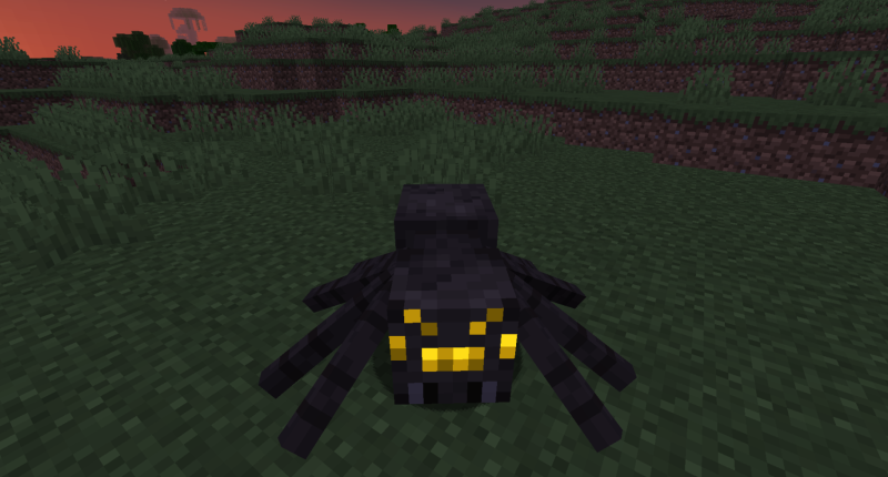 Gold Spider