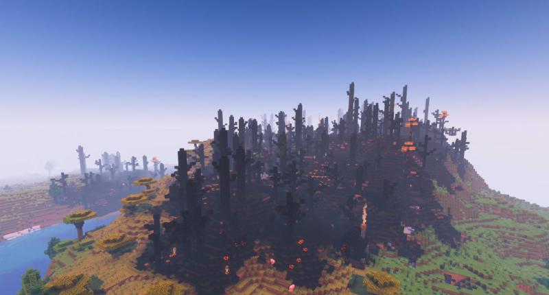 Burnt Forest biome