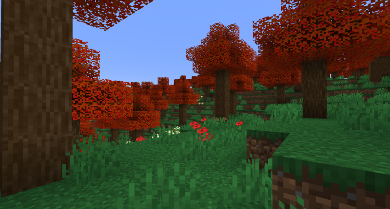 Maple Forest