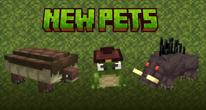  New pets !