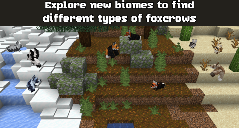 A showcase of different wild foxcrow coats and patterns split by biomes, with pale foxcrows in the snow, red fox foxcrows in the taiga, and sandy colored ones in the desert. The caption reads "Explore new biomes to find different types of foxcrows"
