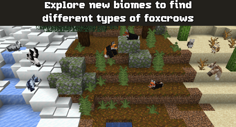 A showcase of different wild foxcrow coats and patterns split by biomes, with pale foxcrows in the snow, red fox foxcrows in the taiga, and sandy colored ones in the desert.  The caption reads "Explore new biomes to find different types of foxcrows"