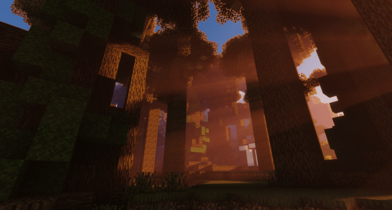 New biome Oak rainforest.