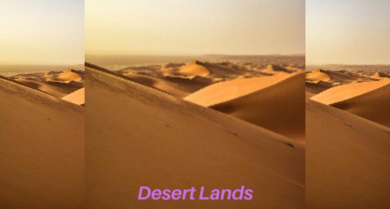 The Desert Lands Logo, Rectangle Edition!