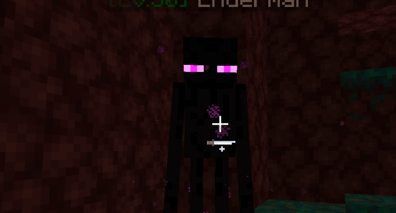 Ender Men LVL 50