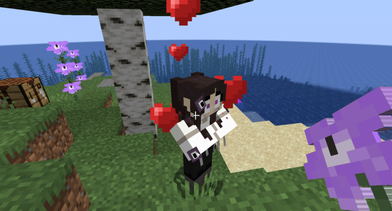 give a flower to your new best friend
