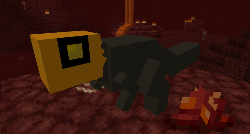 nether