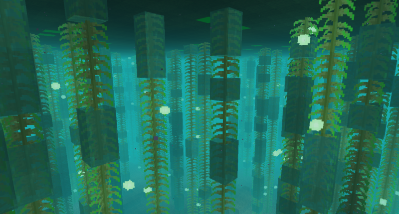 underwater in the overgrown kelp jungle