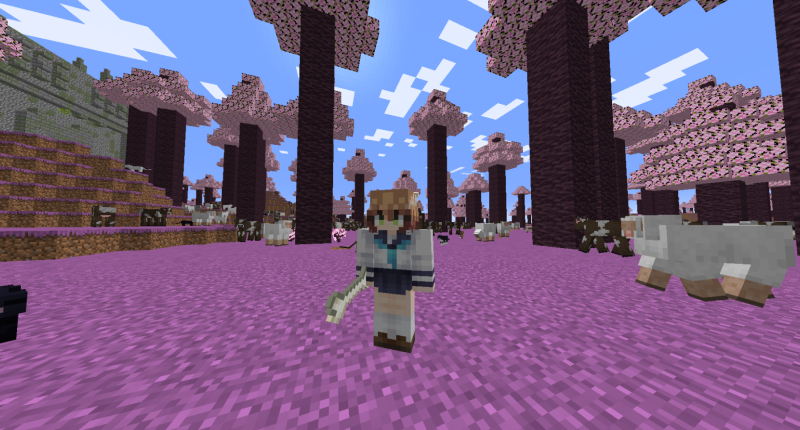 Picture of Nokotan in custom biome (which isn't the best at the moment)