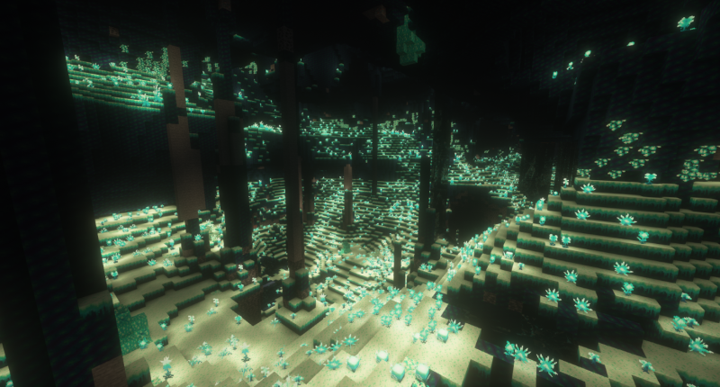 A large expansive Glowroot cave, with some crystal chunks and tons of flowers.