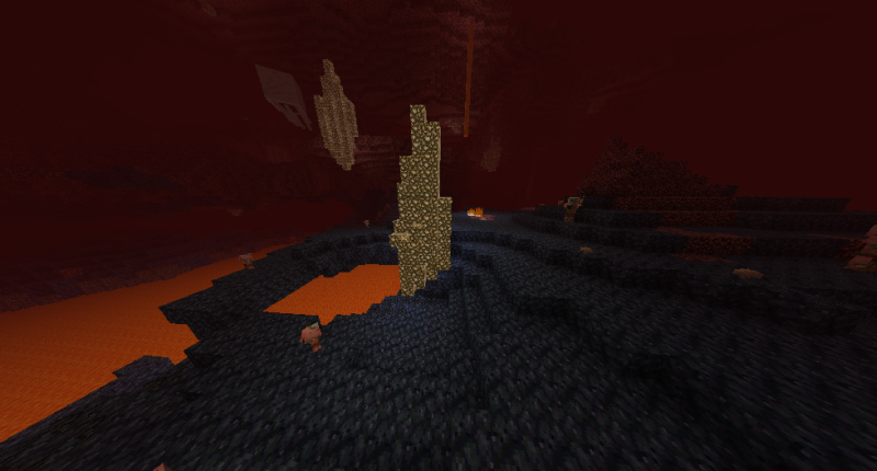 Dead Nether Wastes