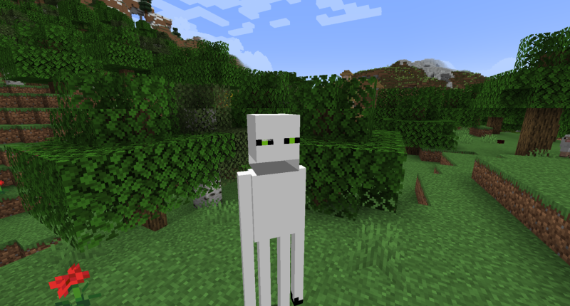 Anti-Enderman