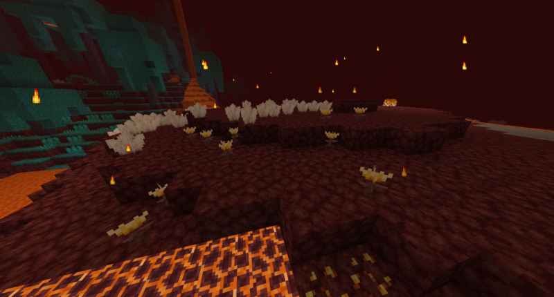 Burning Flowers and Quartz Clusters in a Nether Wastes