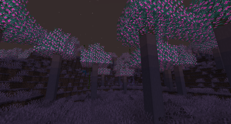 cool biome shot