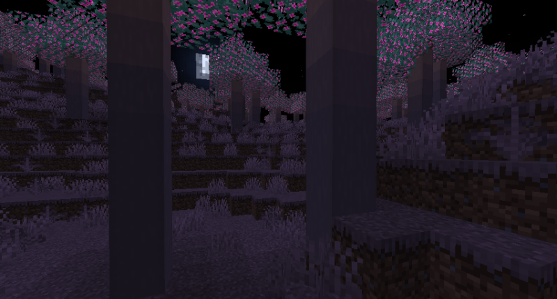 biome in the dark