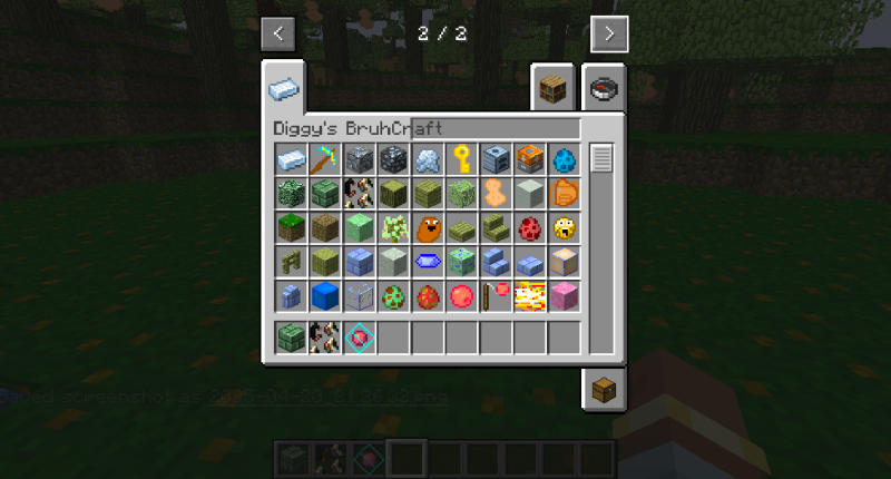 A bunch of the blocks and items