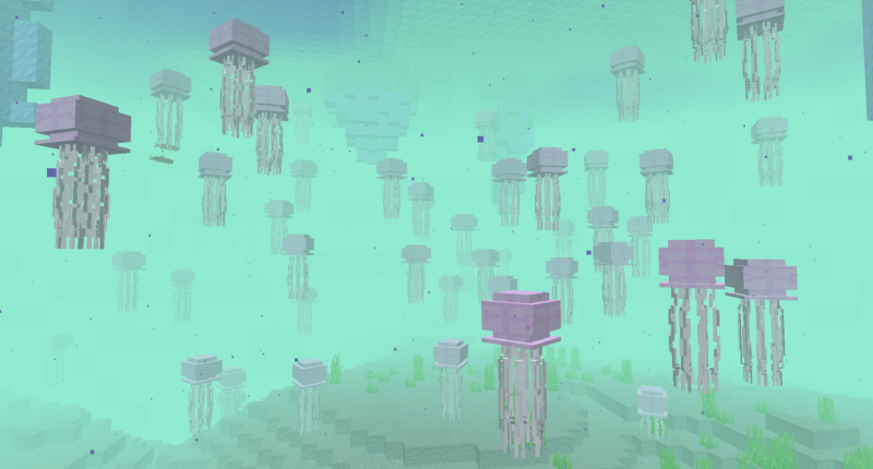 Jellyfish Camp
