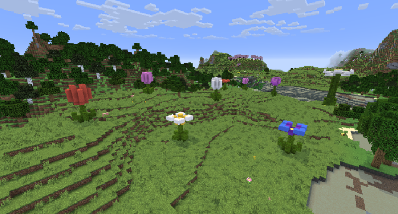 Giant Flower Plains, the new biome this mod adds.