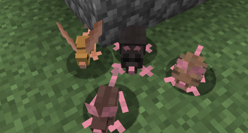 mice