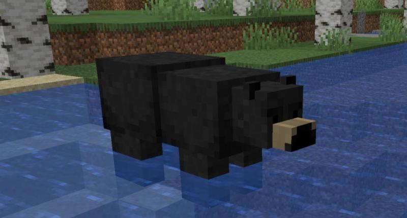 It adds another type of bear, the black bear.