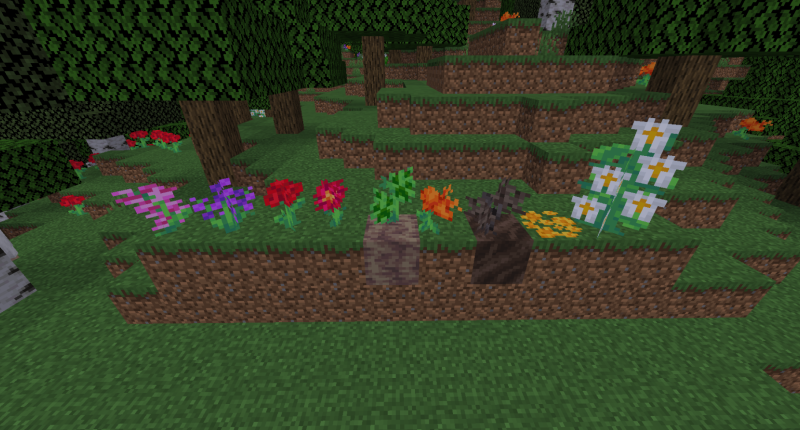 An array of flowers (Left to Right: Heather, Hycaninth, Carnation, Chrysanthemum, Creepbloom, Hibiscus, Soul Wilt, Buttercup, HoneySuckle)