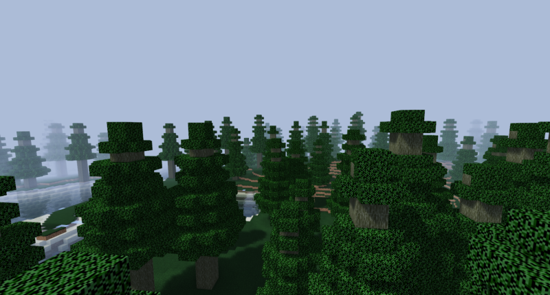 Metasequoia forest