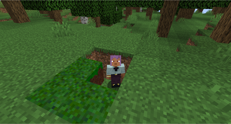 The player, having fallen for a Pit Trap.