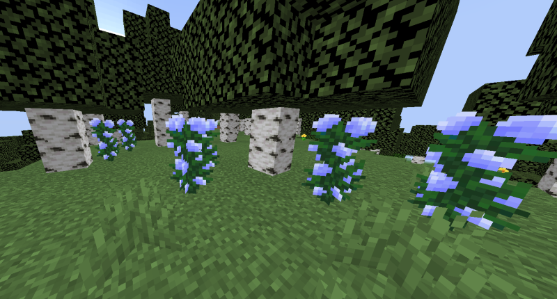 Hortensias