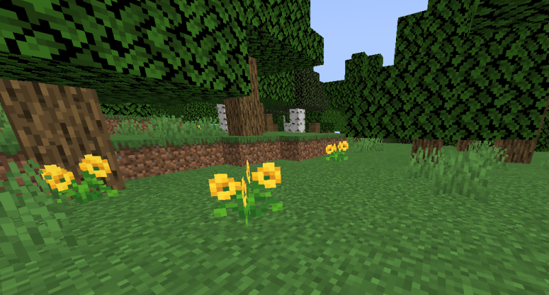 Alpine Poppies