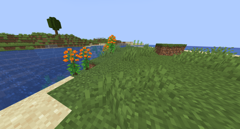 Orange Butterfly Bushes