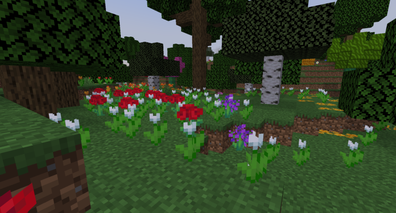 A section from the Flower Forest