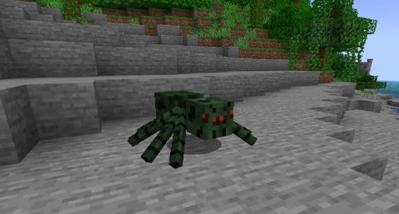 Spider