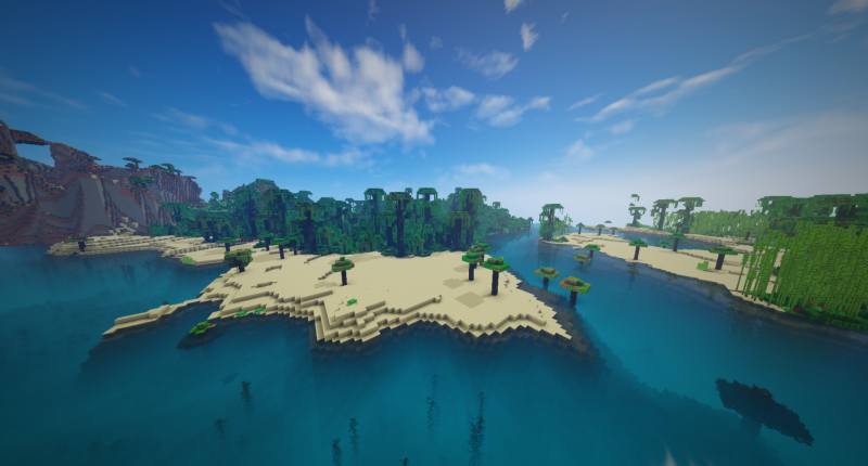 Dragon Fruit and Coconut Trees on the Beach