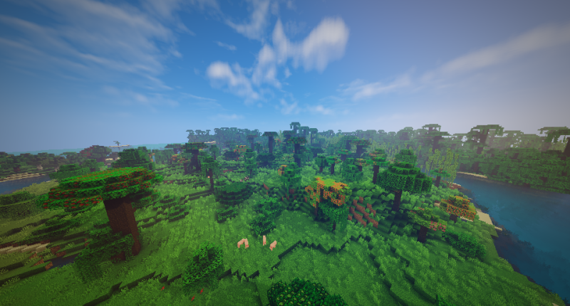 Mangoes, Dragon Fruits, Tangerines and Oranges in Sparse Jungle