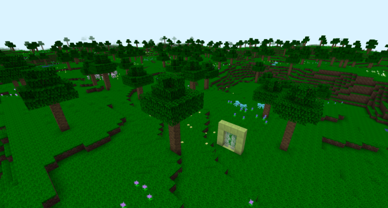 New dimension!