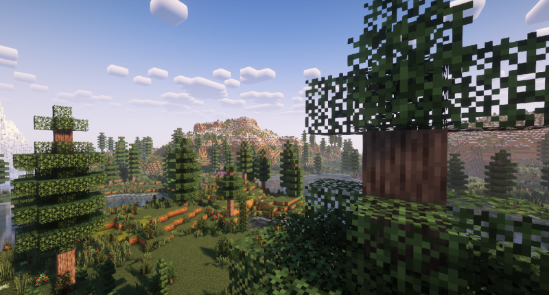Yukon Tundra Biome