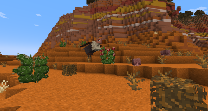 badlands