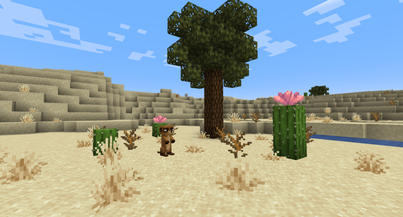 desert