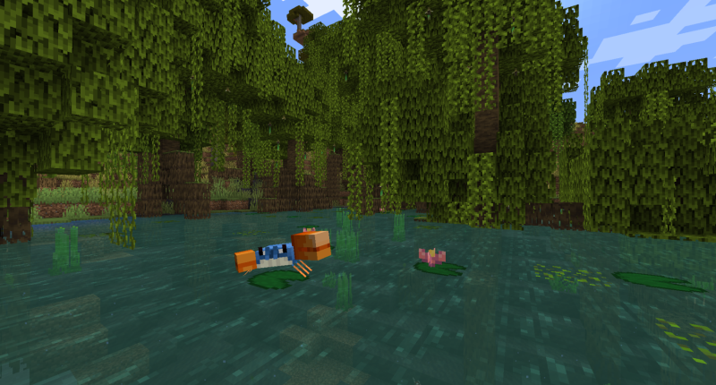 mangrove swamp
