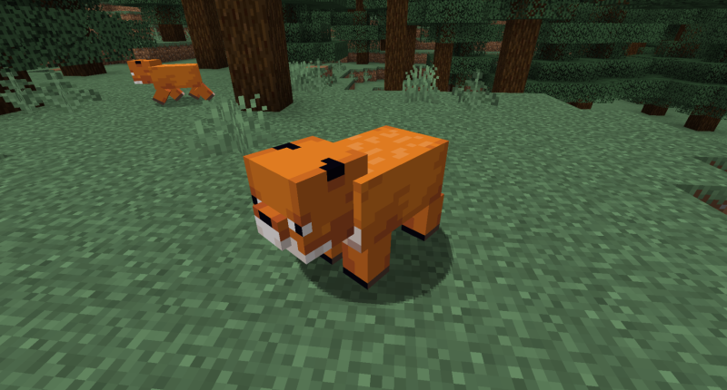 pig
